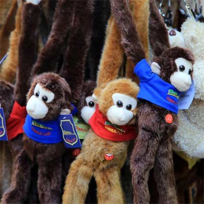 Monos de peluche de tpicos de Gibraltar