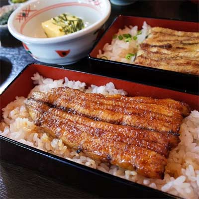 Unagi